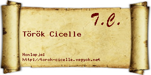 Török Cicelle névjegykártya